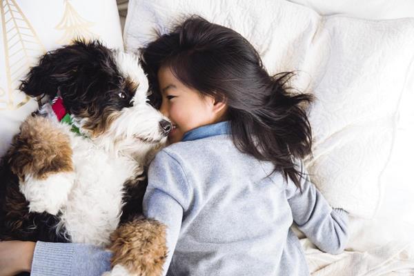 Photo courtesy Petsmart Canada Inc.