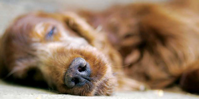 Photo courtesy ©BigStockPhoto.com