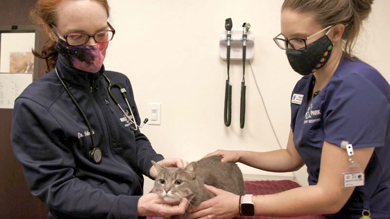 Dvm And Rvt Patient advocacy focus of RVT summit - Veterinary Practice News Canada