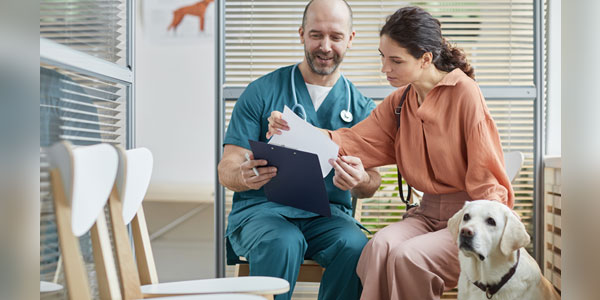 With a pandemic-driven surge in pet ownership, practice owners find themselves with a market opportunity that can help spur their clinic’s growth; however, this opportunity is not without some challenges. By strategically assessing resourcing and looking to online and telemedicine, practice owners will be in a stronger position to manage the demand. Photo ©BigStockPhoto.com