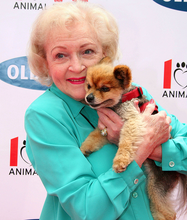 ‘Betty White Challenge’ raises thousands across Canada Veterinary Practice News Canada