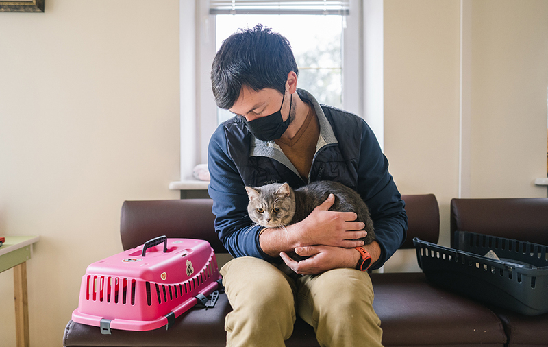 Referral clinic aims to lighten patient load in N.S. Veterinary