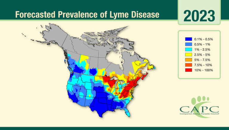 Lyme disease sees northern expansion, CAPC says - Veterinary Practice ...