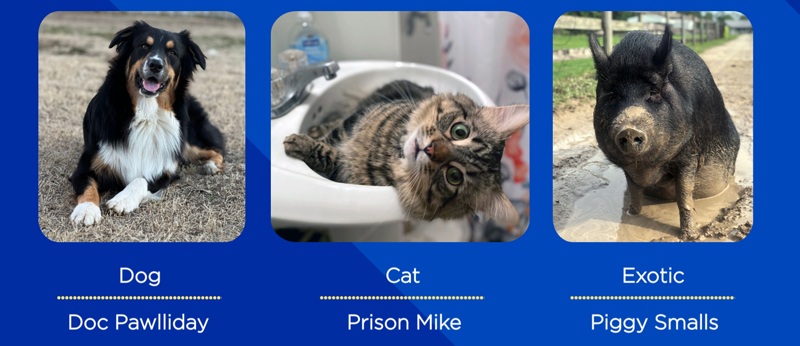 Doc Pawlliday, Prison Mike, and Piggy Smalls have won Nationwide’s Wacky Pet Names contest.