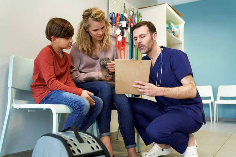 Clinical empathy is not a soft skill; it’s a crucial skill. Once you and your team have harnessed it, you can truly do incredible things for your patients, your clients, and your personal career fulfilment.