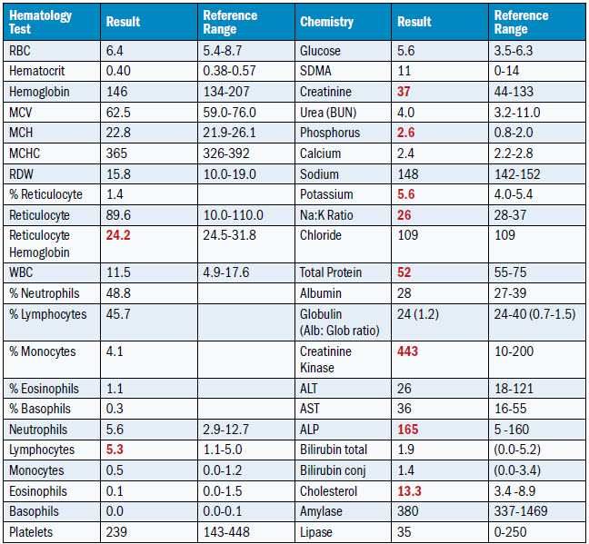 Table showing hematology data.