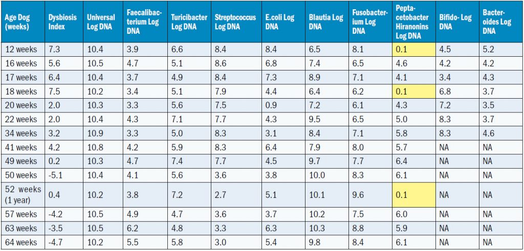 Table displaying data based on age of dog.