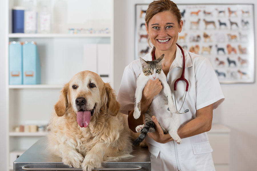 Female doctor stands with Golden Retriever dog and cat
