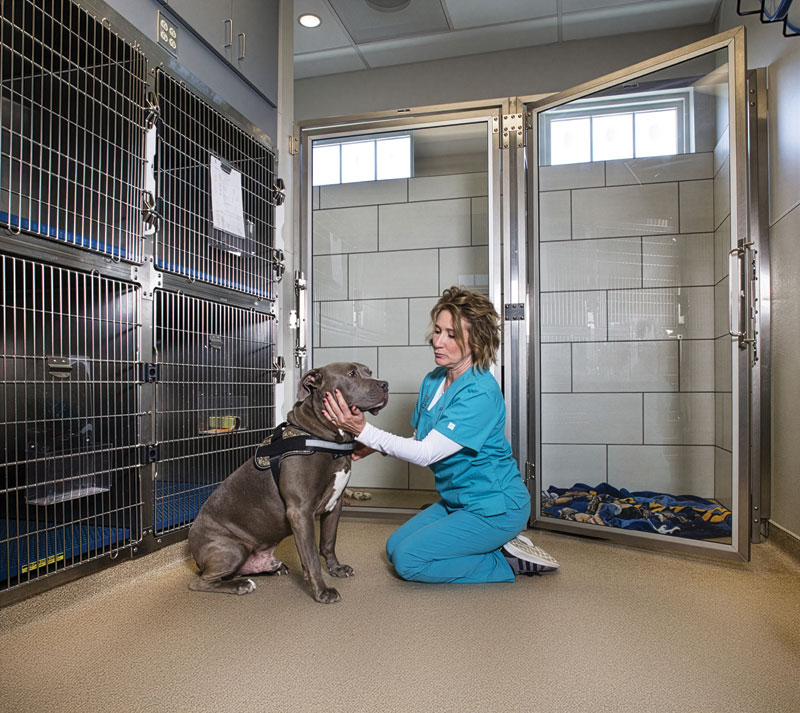 woman kneels and pets dog