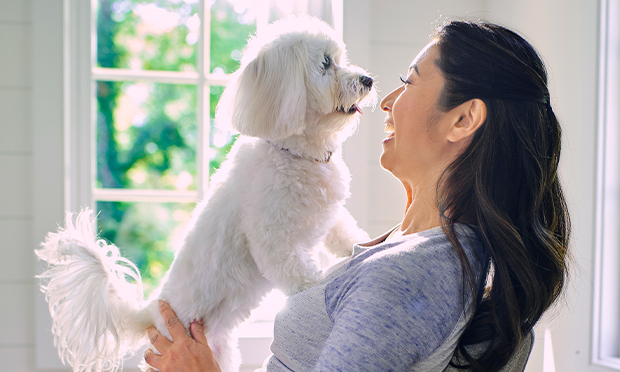 A woman holding a small white dog near a window, smiling at each other in natural daylight.