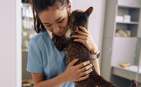 A smiling female veterinary professional in blue scrubs gently hugging and comforting a tabby cat.