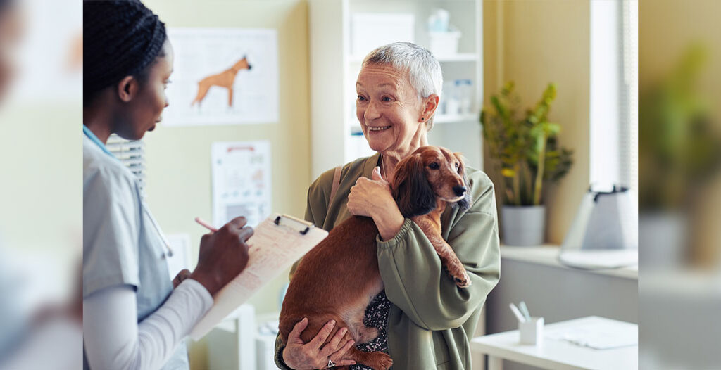 Portrait of smiling senior woman with dog dachshund visiting veterinarian and talking to vet assistant