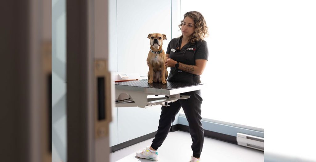 female veterinarian with dog at VCA Canada
