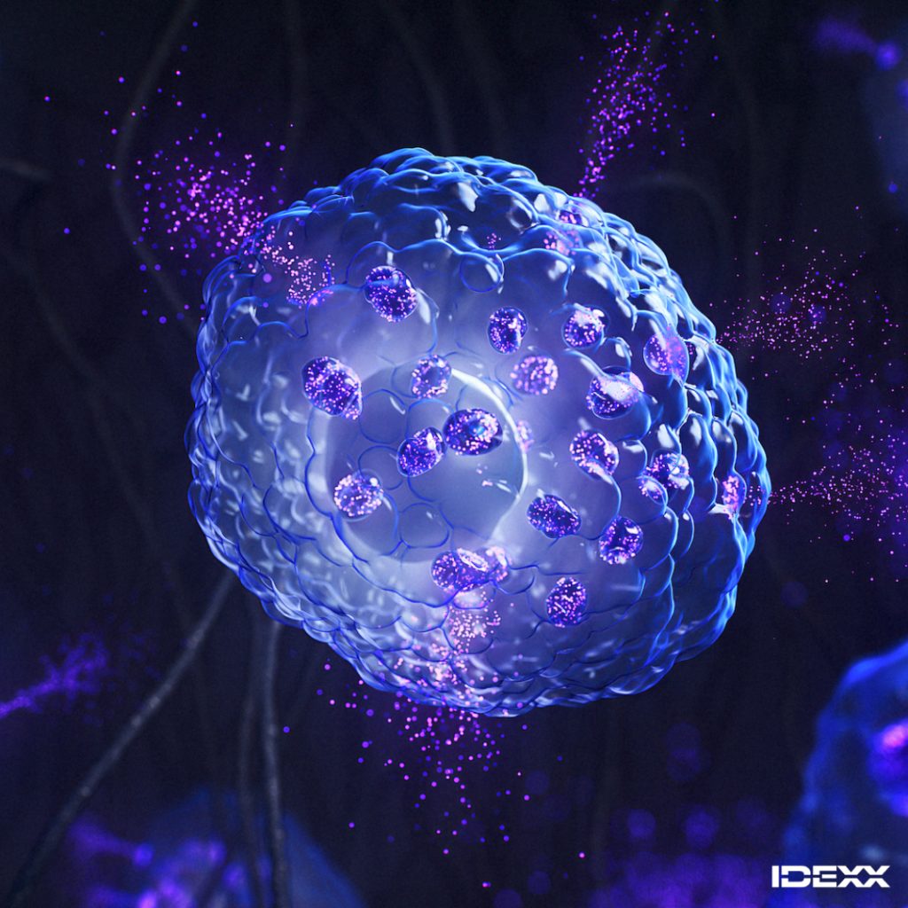 Image representing IDEXX Cancer testing