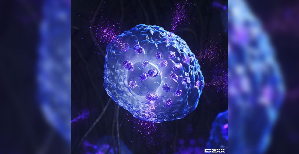 Image representing IDEXX Cancer testing