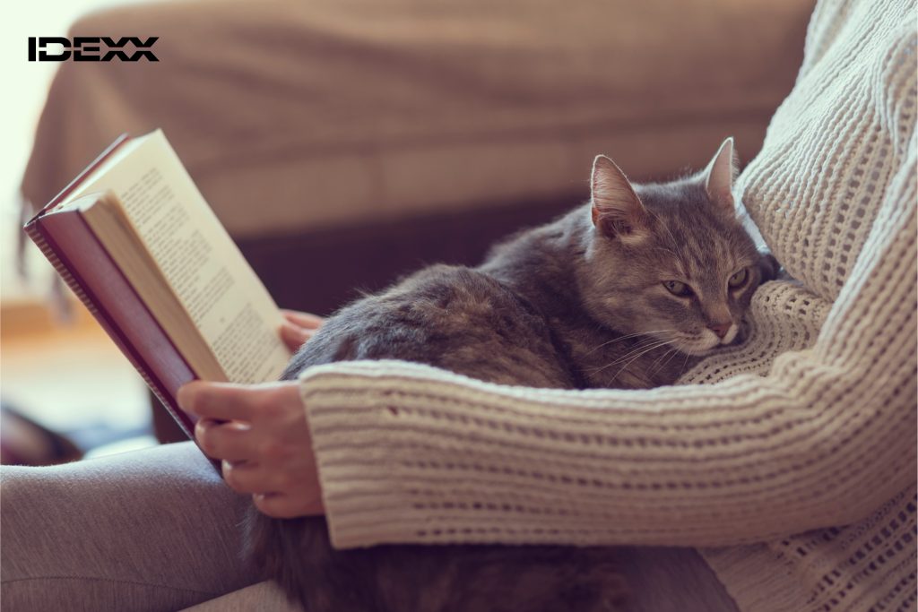 A cat rests in the lap of its owner.
