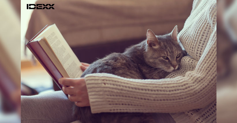 A cat rests in the lap of its owner.
