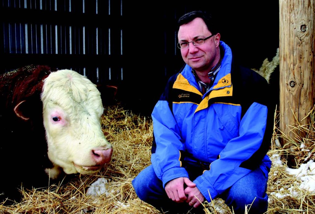 A male veterinarian poses beside a cattle in a farm.