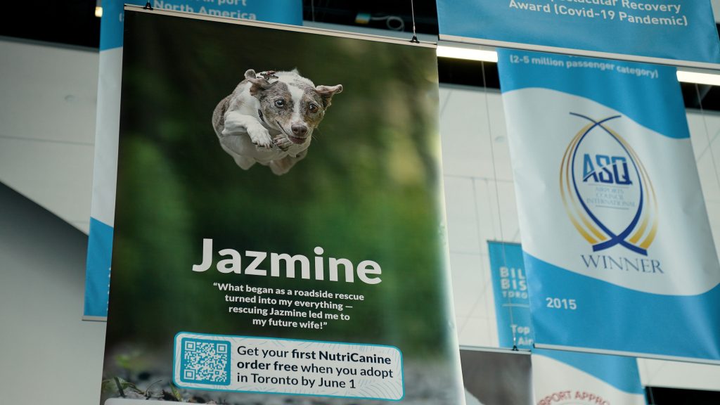 ceiling banner with photo of dog jumping