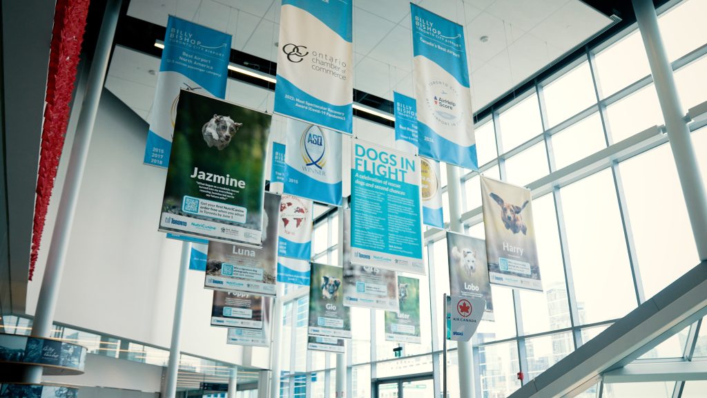 airport floor with banners hanging from ceiling