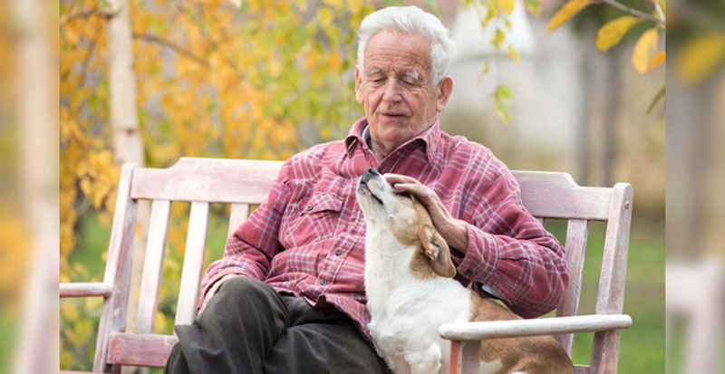 old man sitting on park bench petting dog