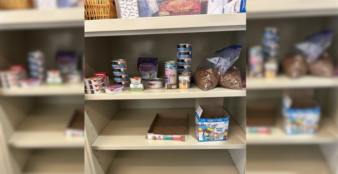 empty food bank shelf