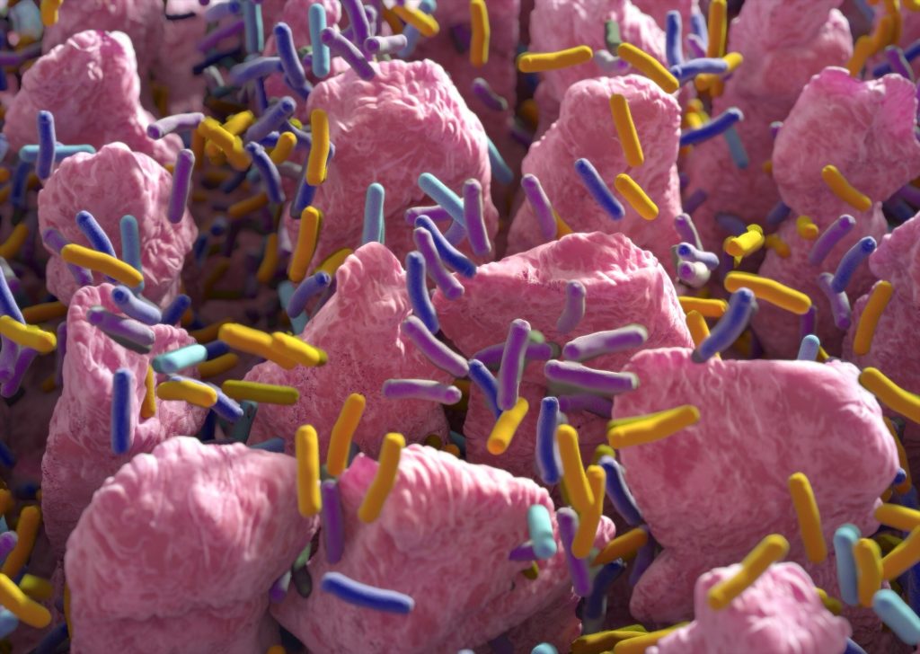 Close-up of pink, textured structures resembling cells, covered in vibrant, multicolored rod-shaped bacteria, suggesting a microbiome environment.