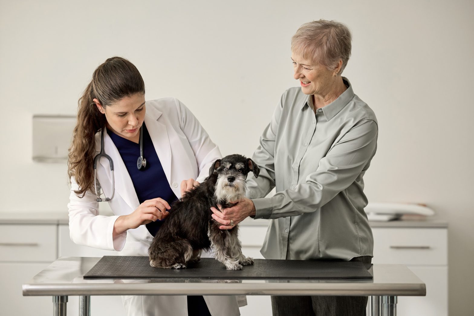 A female veterinarian examines a dog while its female owner watches.