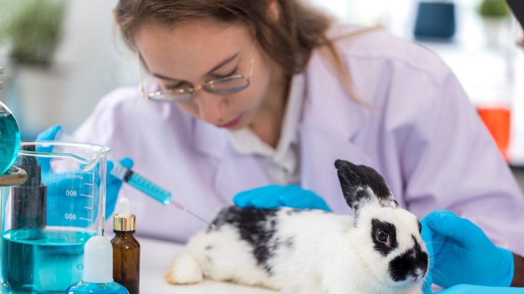 A woman in a lab coat carefully examines a rabbit in a laboratory setting.