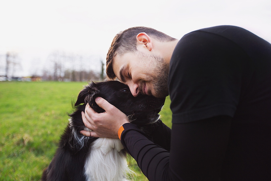 Man embracing his border collie dog . Young owner hugs his pet. Friendship between owner and dog. Animal love concept.