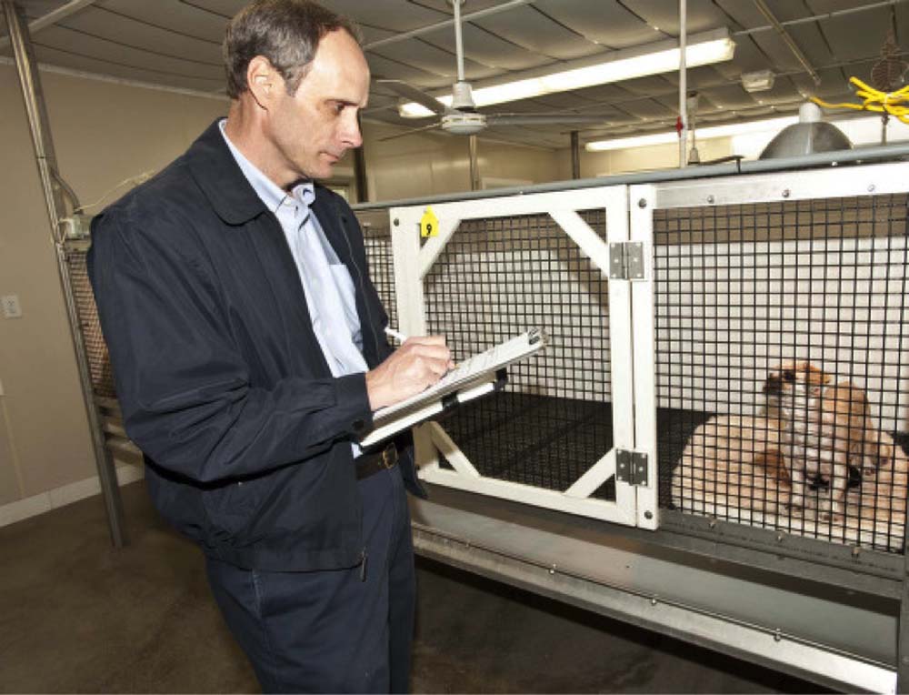 How Much Does a Vet Health Certificate Cost? Veterinary Practice News Canada