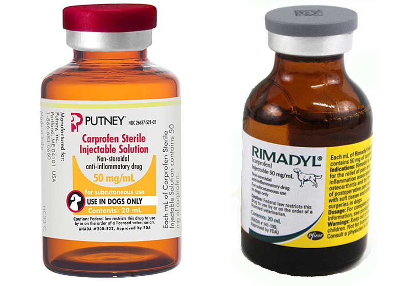 gabapentin and carprofen together for dogs