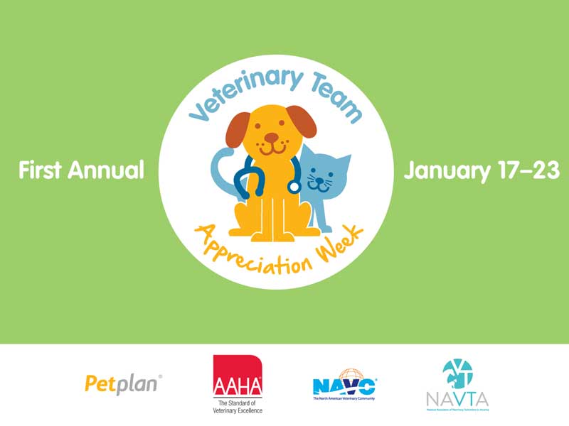 It's the First Annual Veterinary Team Appreciation Week! Veterinary